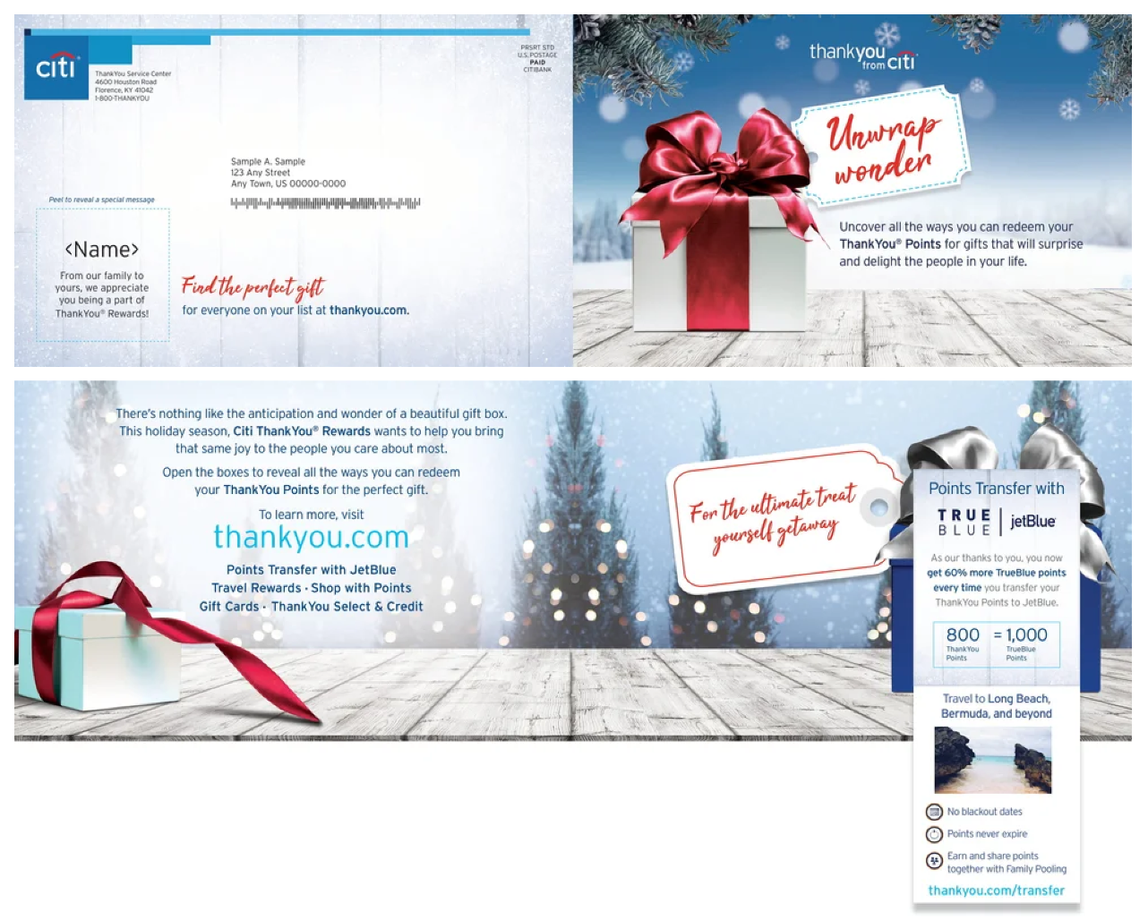My Citibank supporting project visual 3